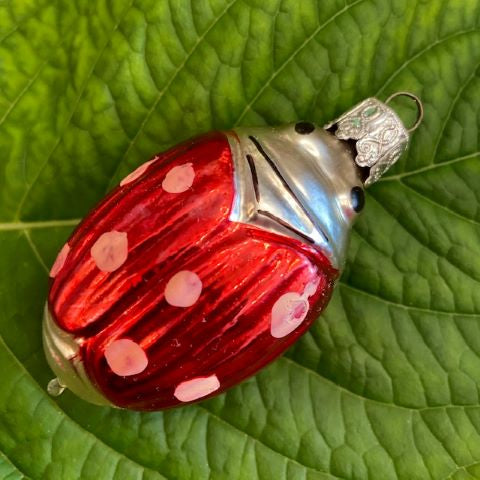 Vintage Glass Xmas Ornaments - Ladybug